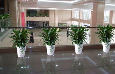 廣州公司注冊(cè)租賃